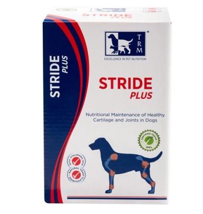 Stride Plus