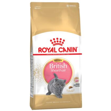 Royal Canin Kitten British Shorthair