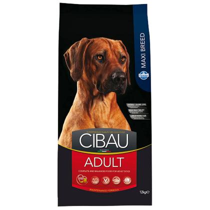 Cibau Adult Maxi