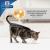 Hill's Prescription Diet c/d Urinary Stress Urinary Care για Γάτες με Κοτόπουλο