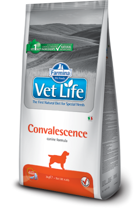 Vet Life Convalescence Canine
