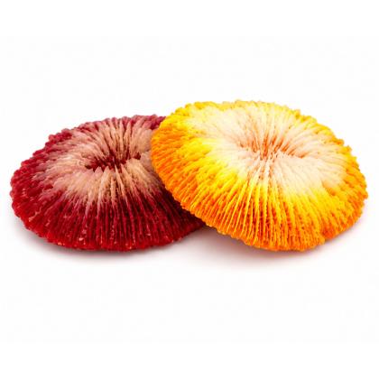 Pet Camelot Κοράλια (σε 3 μεγέθη)