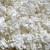 Oxbow Pure Comfort White Bedding
