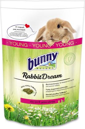 Bunny Rabbit Dream Young