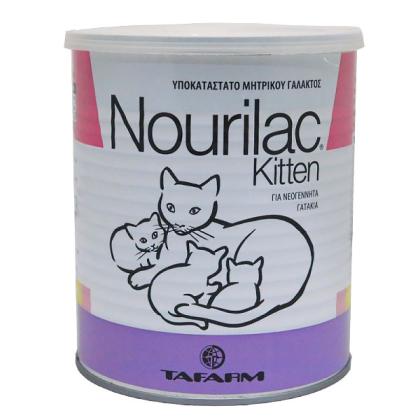 Nourilac Kitten