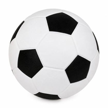 Pet Camelot Παιχνίδι Σκύλου Ημίσκληρη Μπάλα Sport (σε 2 μεγέθη)