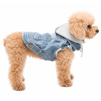 Pet Camelot Dog's Coat Τζιν XSmall