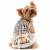Pet Camelot Dog's Coat Burberry σε 7 μεγέθη