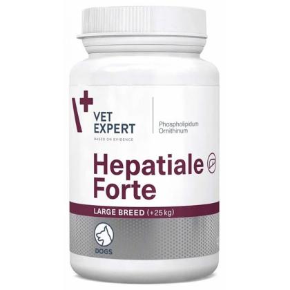 Hepatiale Forte Large Breed