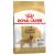 Royal Canin Golden Retriever Adult