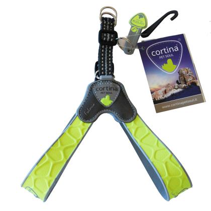 Size 5 Coralpina Faloria Harness (σε 7 χρώματα)