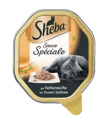 Sheba Fine Recipes με Γαλοπούλα σε λευκή Σάλτσα