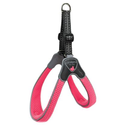 Size 3 Coralpina Cinquetorri Harness (σε 7 χρώματα)