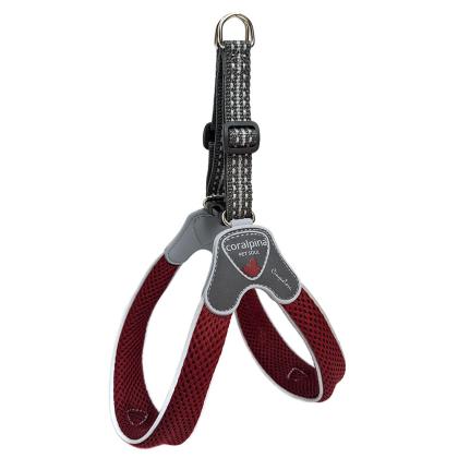Size 5 Coralpina Cinquetorri Harness (σε 7 χρώματα)