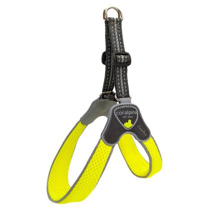 Size 8 Coralpina Cinquetorri Harness (σε 7 χρώματα)