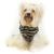 Pet Camelot Dog's Coat / Tiger (3983)