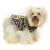 Pet Camelot Dog's Coat / Tiger (3983)