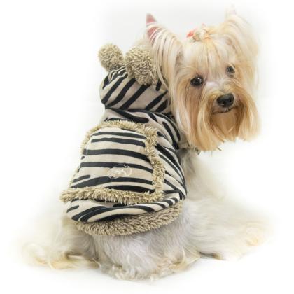 Pet Camelot Dog's Coat / Tiger (3983)