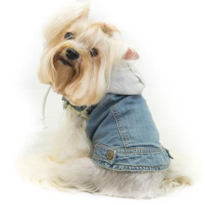 Pet Camelot Dog's Coat Τζιν XXSmall