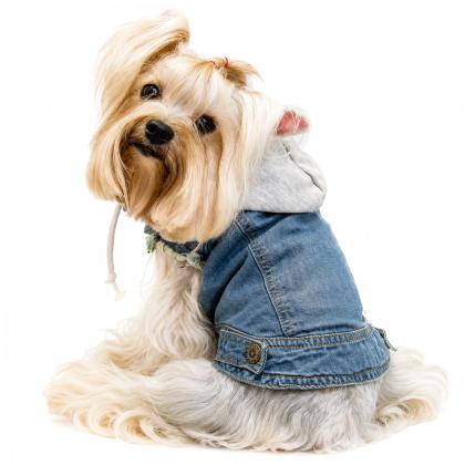 Pet Camelot Dog's Coat Τζιν XXSmall