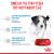 Royal Canin Mini Puppy