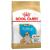 Royal Canin Bulldog Puppy