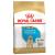 Royal Canin Labrador Retriever Puppy