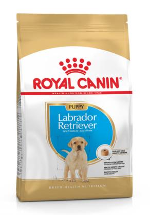 Royal Canin Labrador Retriever Junior