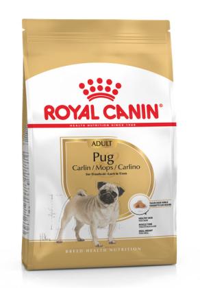 Royal Canin Pug Adult