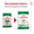 Royal Canin Mini Ageing +12