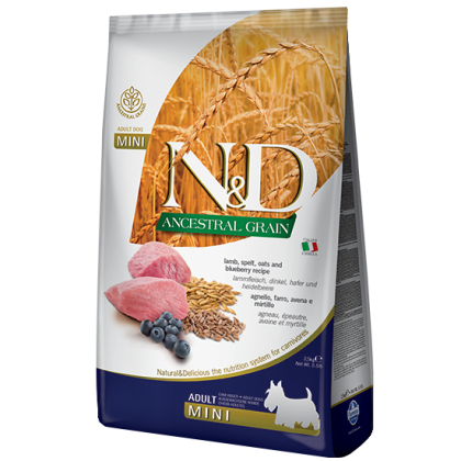 N&D Low Grain Lamb & Blueberry Adult Mini