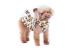 Pet Camelot Dog's Coat Λεοπάρ σε 6 μεγέθη